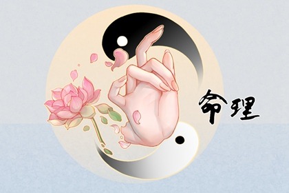 双人合盘详解紫微,紫微元贞排盘,紫薇斗术排盘,紫薇八字免费排盘